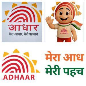 InCollage_20260208_193947088